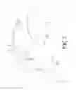 Fig. 08 - Eyeglasses having simulated monolithic lens