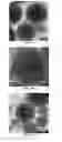 Fig. 12 - Multicolor display apparatus