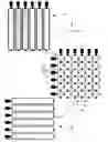 Fig. 01 - Three-dimensional (3-D) imaging with a row-column addressed (RCA) transducer array using synthetic aperture sequential beamforming (SASB)