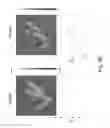 Fig. 07 - DNA nanostructure patterned templates