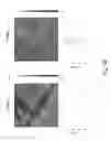 Fig. 08 - DNA nanostructure patterned templates