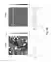 Fig. 10 - DNA nanostructure patterned templates