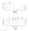 Fig. 06 - Lithographic method and apparatus