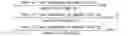 Fig. 02 - Toner for electrophotography