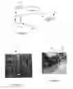Fig. 02 - System and method for providing easy-to-use release and auto-positioning for drone applications