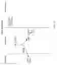 Fig. 85 - Operating environment with gestural control and multiple client devices, displays, and users