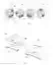 Fig. 03 - Haptic feedback system