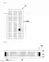 Fig. 09 - Temperature-compensated electrode sheet capable of detecting pressure and touch input device