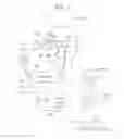 Fig. 02 - METHOD EXECUTED ON COMPUTER FOR PROVIDING VIRTUAL SPACE, PROGRAM AND INFORMATION PROCESSING APPARATUS THEREFOR