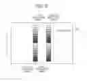 Fig. 07 - Image forming system