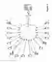 Fig. 06 - Auto bug capture