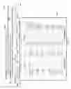 Fig. 13 - System for visually exploring coordinated relationships in data