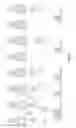 Fig. 03 - Selective peptide antagonists