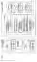 Fig. 02 - APPARATUS AND METHOD TO DISTINGUISH COPIED OPERATING SYSTEMS FROM ORIGINAL ONE