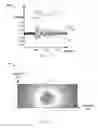 Fig. 03 - Integrated circuit with tamper protection and method therefor