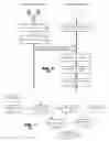 Fig. 05 - Object tracking in multi-view video
