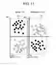 Fig. 12 - Region linear model optimization system, method and program