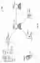 Fig. 12 - Organic light emitting diode (“OLED”) universal plastic