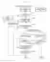 Fig. 37 - Apparatus for managing baggage, a method for managing baggage and a baggage management system