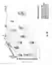 Fig. 41 - System and method for issuing a loan to a consumer determined to be creditworthy and with bad debt forecast