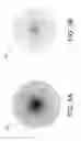 Fig. 06 - Smoothly varying foveated rendering