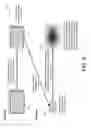 Fig. 09 - Smoothly varying foveated rendering