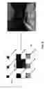 Fig. 09 - Storage for foveated rendering