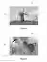 Fig. 04 - Method and apparatus for inciting a viewer to rotate toward a reference direction when consuming an immersive content item