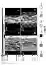 Fig. 09 - Method and system for rule-based display of sets of images