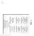 Fig. 02 - Guided traversal in compression of triangular meshes