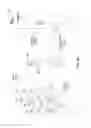 Fig. 12 - Accessing a secure region of an environment using visually identified behaviors relative to an access control device