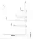 Fig. 03 - Systems and methods for extracting mass traces