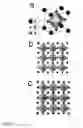 Fig. 08 - Optoelectronic device comprising perovskites