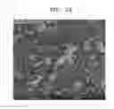 Fig. 03 - Quantum dot glass cell and light-emitting device package including the same