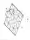 Fig. 02 - Light source module
