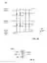 Fig. 06 - Forming and operating memory devices that utilize correlated electron material (CEM)