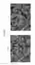 Fig. 22 - Organic semiconductor material