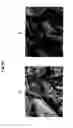Fig. 44 - Organic semiconductor material