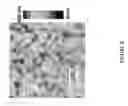 Fig. 07 - Hybrid halide perovskite-based field effect transistors
