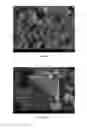 Fig. 06 - Cathode active materials having improved particle morphologies