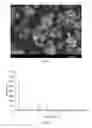 Fig. 08 - Cathode active materials having improved particle morphologies