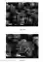 Fig. 09 - Cathode active materials having improved particle morphologies