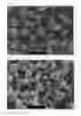 Fig. 02 - Positive-electrode active material for non-aqueous electrolyte secondary battery and method of producing the same