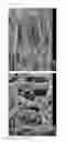 Fig. 08 - Reinforced membrane, electrochemical cell and fuel cell comprising same, and production method for reinforced membrane