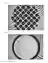 Fig. 02 - Patterned separator and battery comprising same