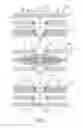 Fig. 02 - Vertically mounted and magnetically driven power generation apparatus