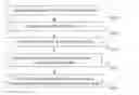 Fig. 01 - WTRU IDENTIFICATION USING POLAR CODE FROZEN BITS
