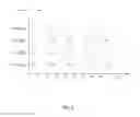 Fig. 07 - Enhancing MU-MIMO to group clients across multiple BSSIDs for a physical radio