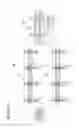 Fig. 40 - OPTICAL TRANSMISSION DEVICE AND OPTICAL TRANSMISSION METHOD