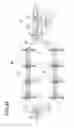 Fig. 41 - OPTICAL TRANSMISSION DEVICE AND OPTICAL TRANSMISSION METHOD
